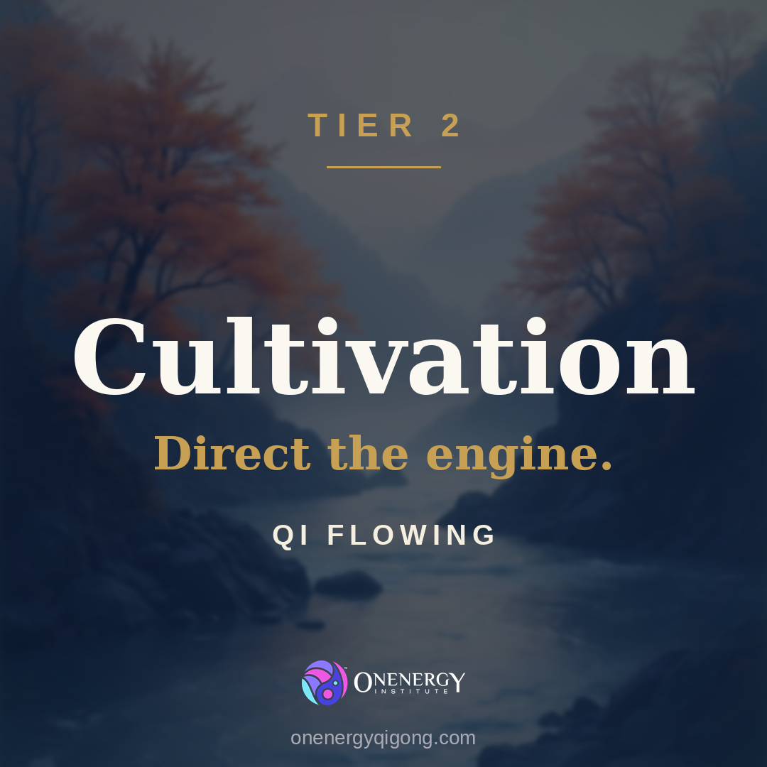The Onenergy Way Cultivation Package