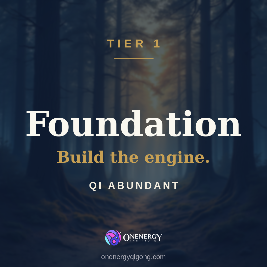 The Onenergy Way Foundation Package