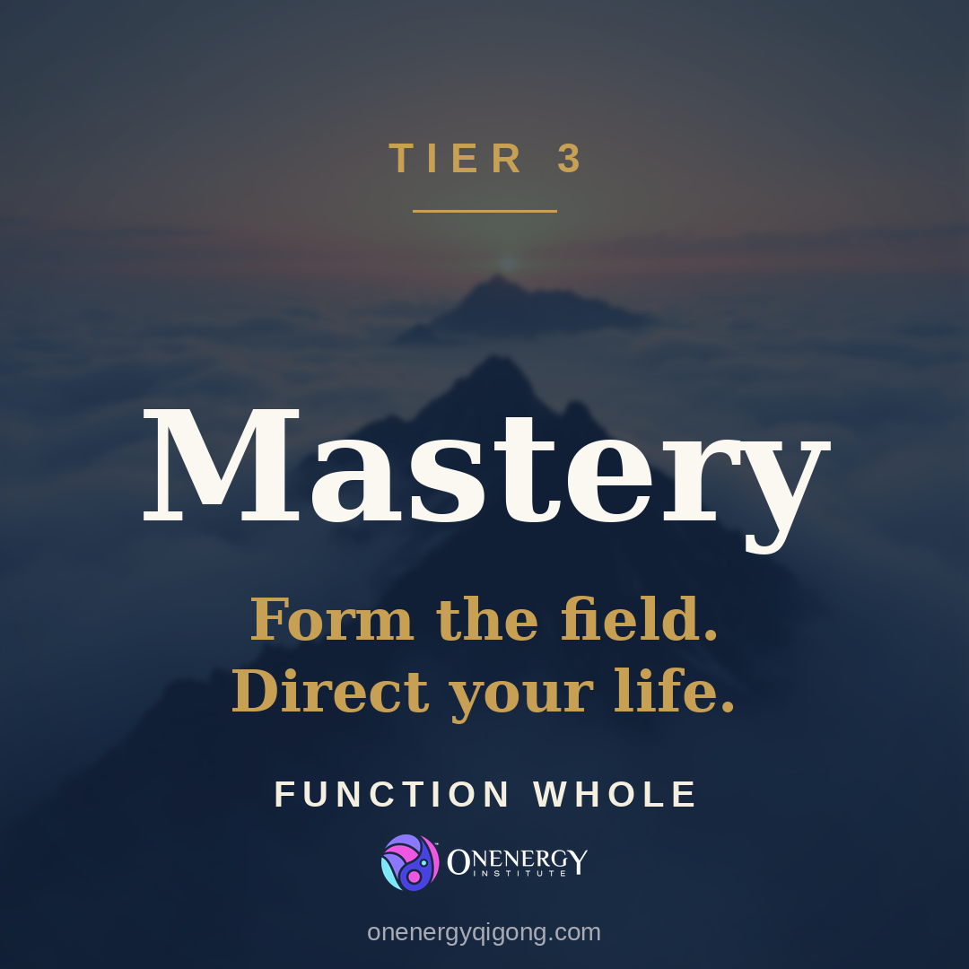 The Onenergy Way Mastery Package